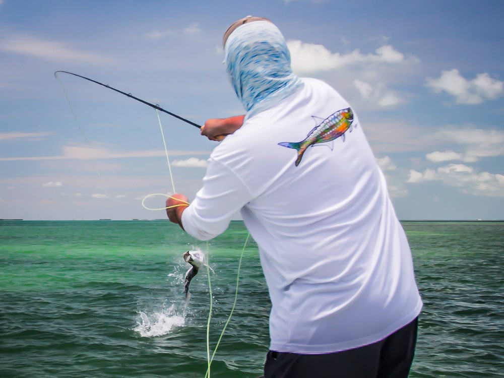 Tarpon Secrets of a Fly Fishing Guide