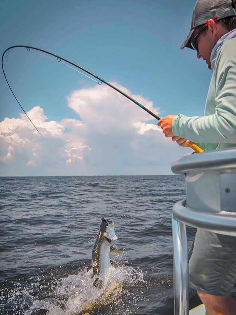 Tarpon Secrets of a Fly Fishing Guide