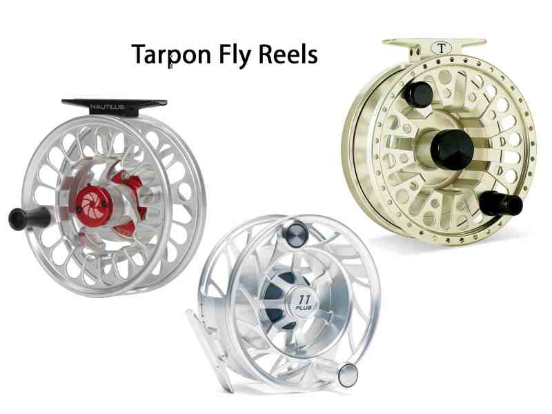 Big tarpon peel over a hundred yards of backing off the spool in a hurry, so a smooth, dependable drag and ample line capacity (300 yards or more) are in order.