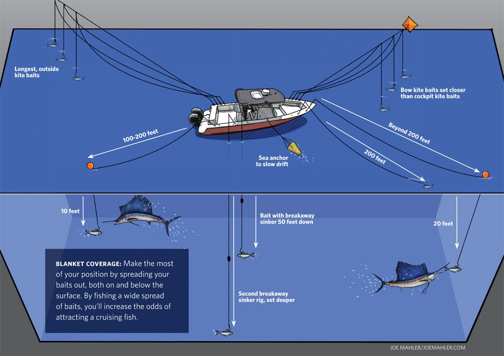 sailfish fishing tips