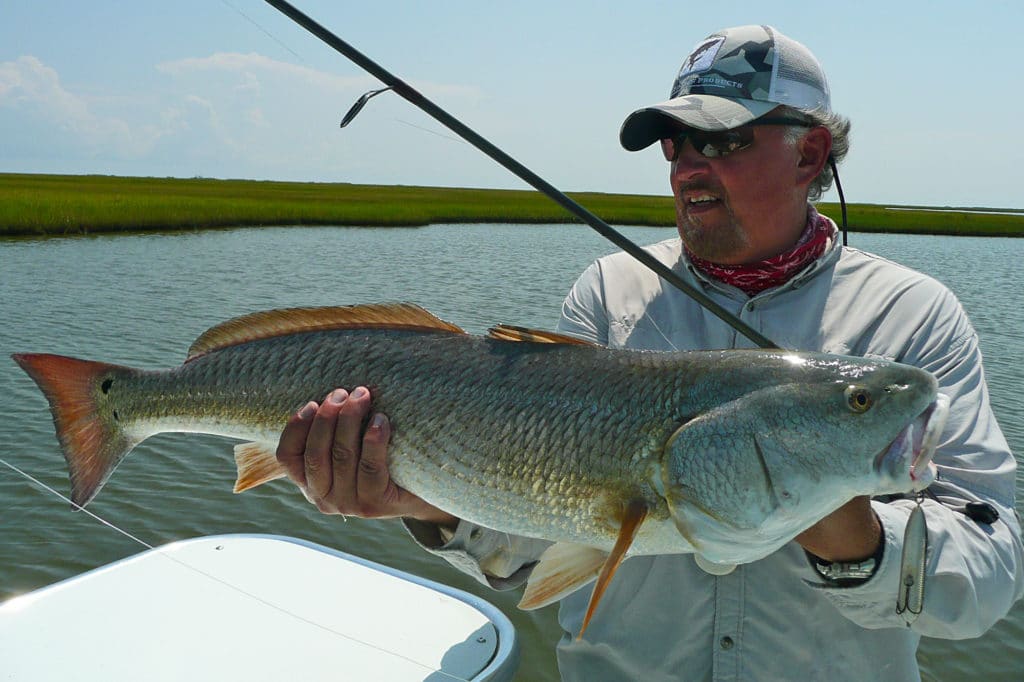 Begin the search for redfish search for reds in some of the outer ponds, closer to Biloxi Marsh.