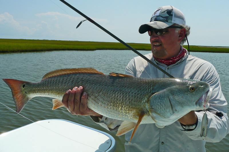 Begin the search for redfish search for reds in some of the outer ponds, closer to Biloxi Marsh.