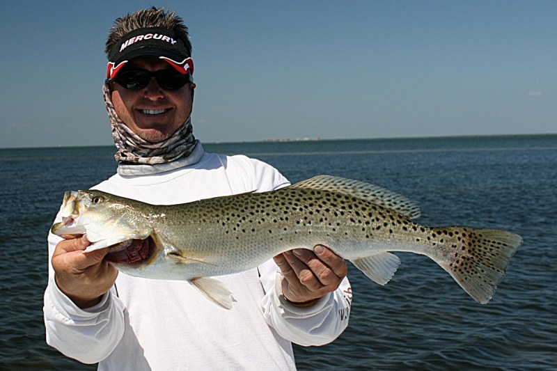 trophy trout