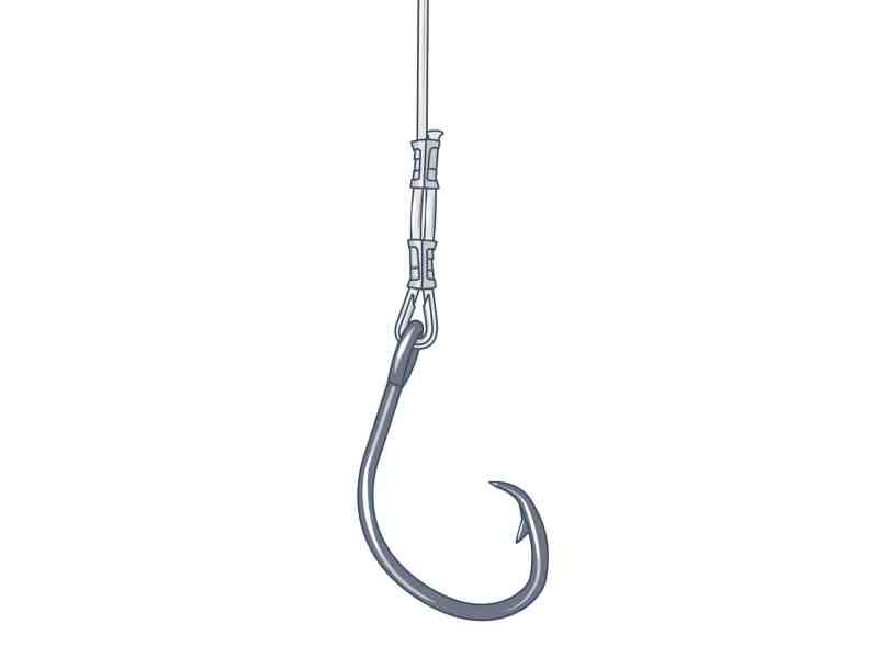 hook for fishing