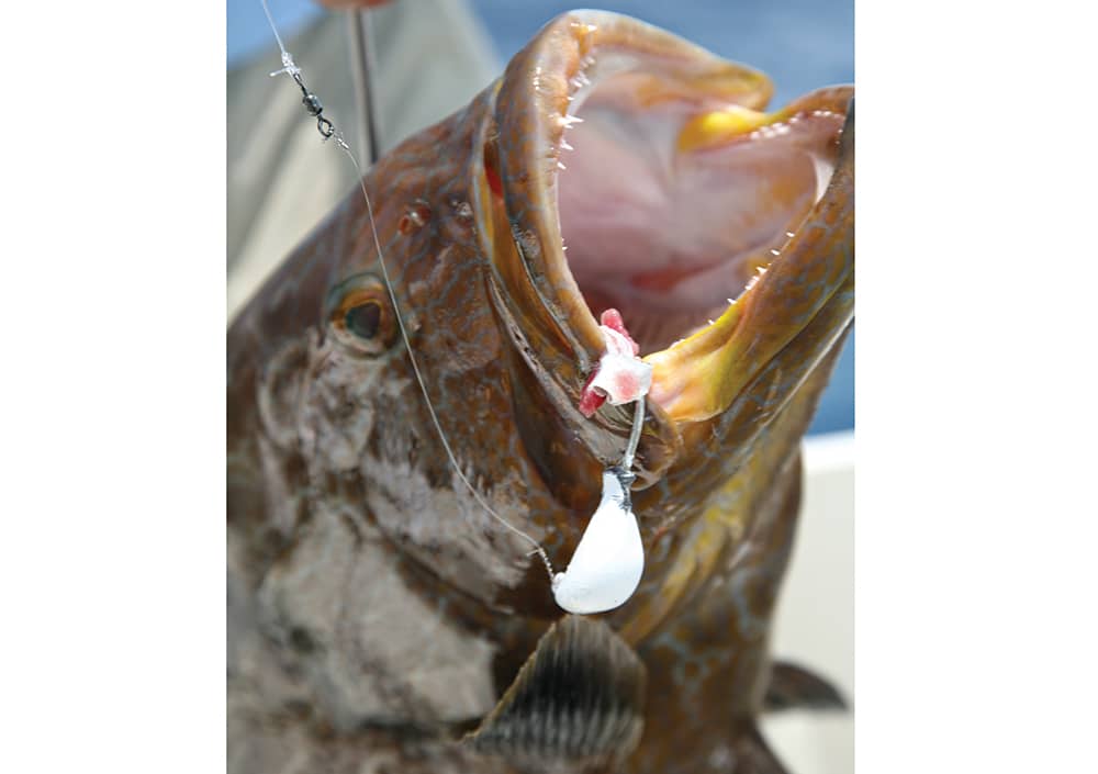 Using Wire Leader Salt Water Sportsman