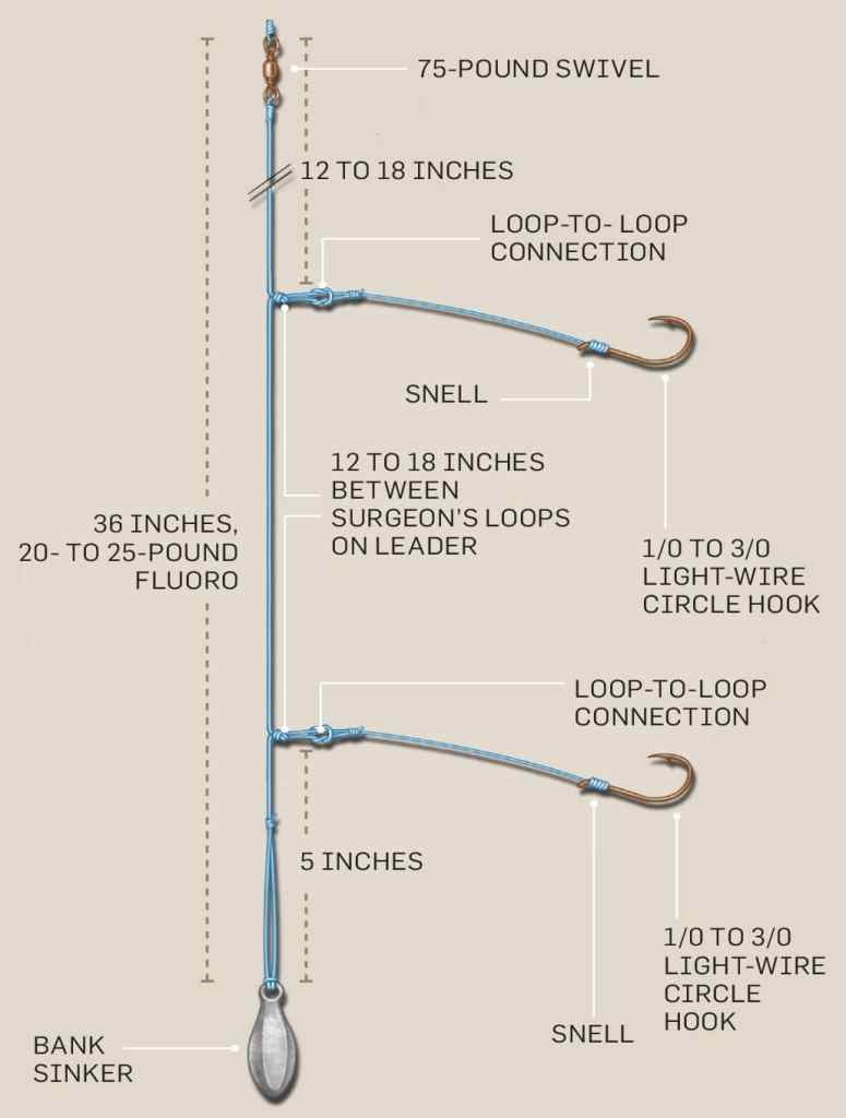 Maltz's Double-Dropper Rig