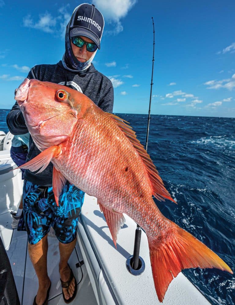 Mutton snapper caught on a bottom fishing rig