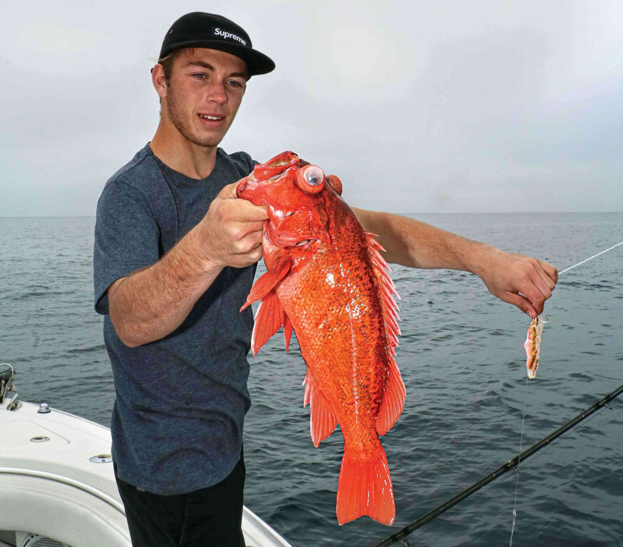 Bottom Fishing How To: 8 Great Rigs and Tactics