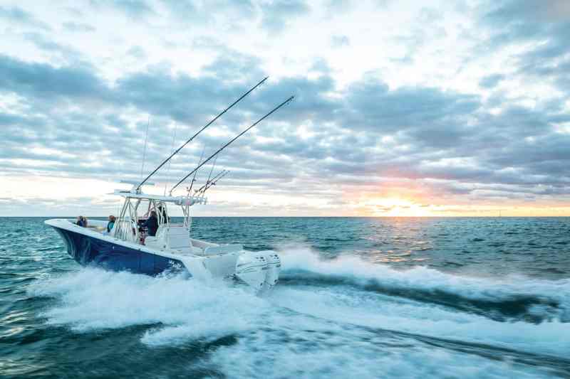 Boat running out to the fishing grounds