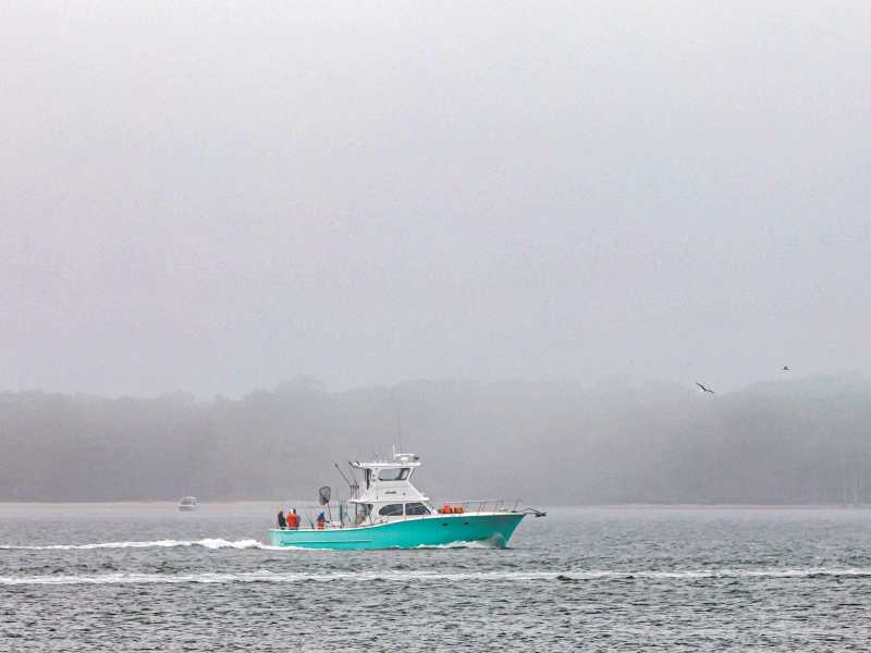 SWS0322-Elex-1 Fishing boat in the fog