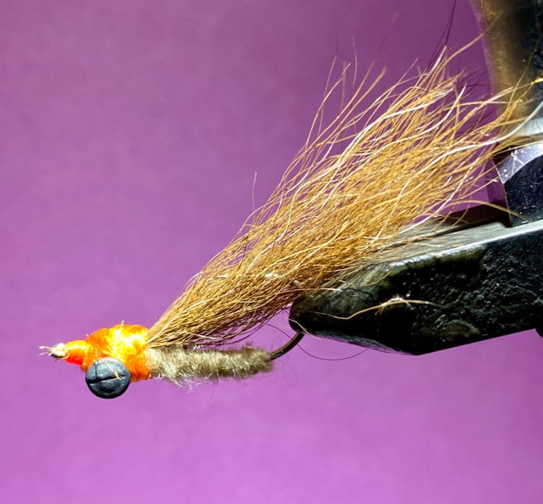 Mitch How classic South Florida fly