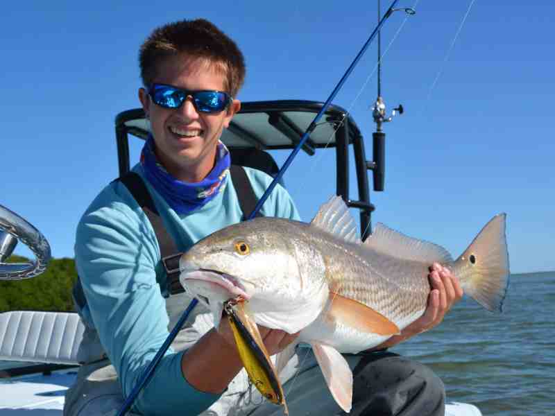 Redfish caught inshore in Key Largo