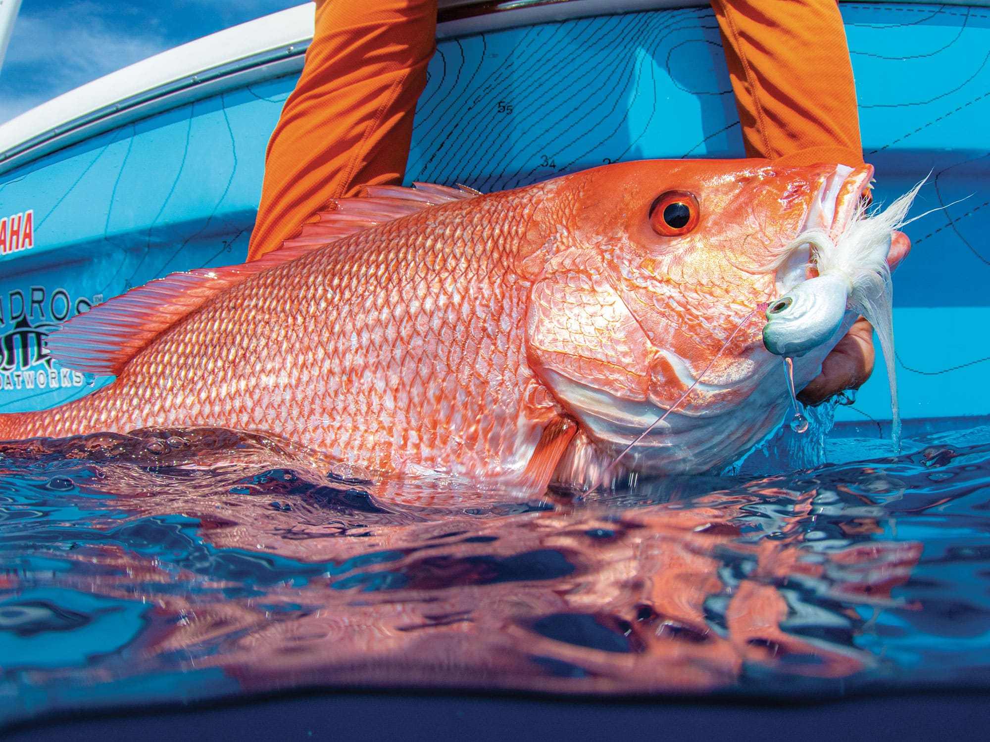 Fishing for the 5 Most Popular Snappers