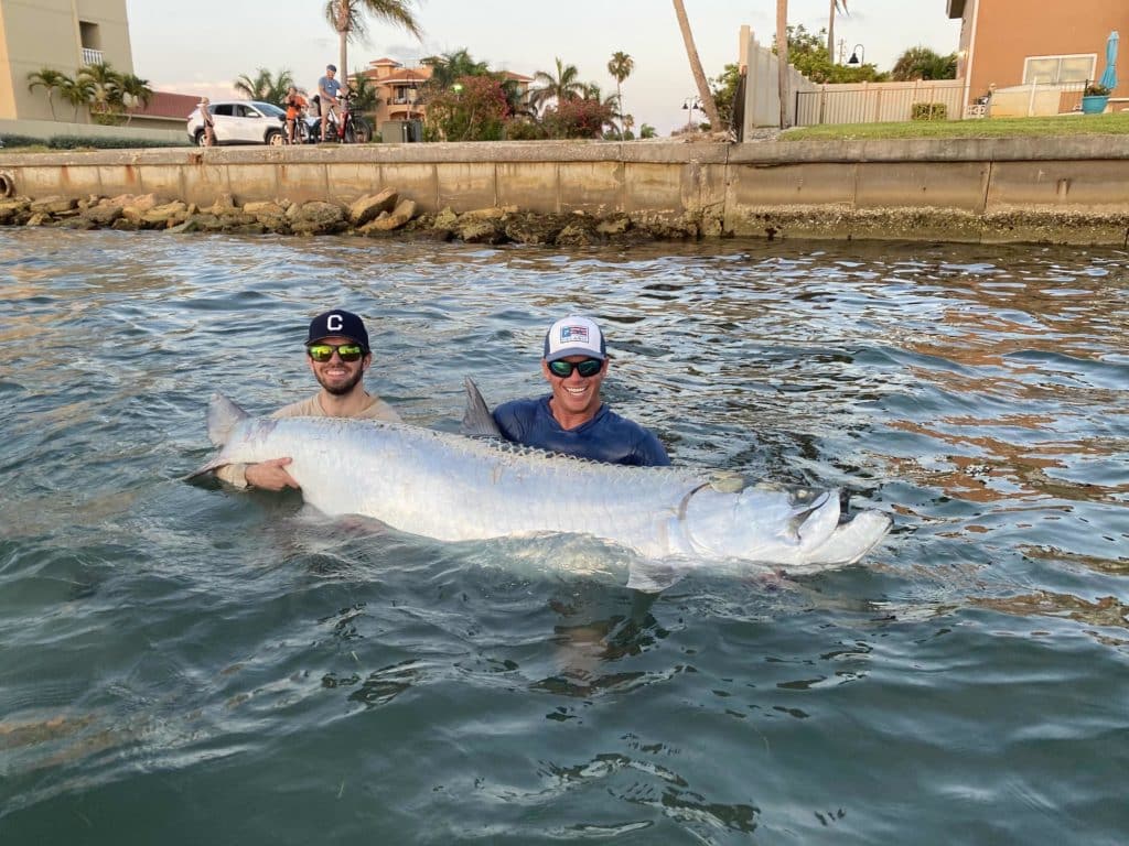 Giant tarpon caught and released