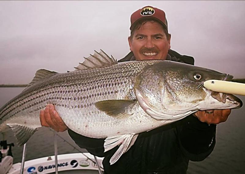 Nate Matthews Doc Striper Striped Bass caught on Doc