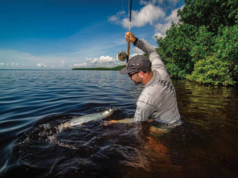 Tarpon on fly