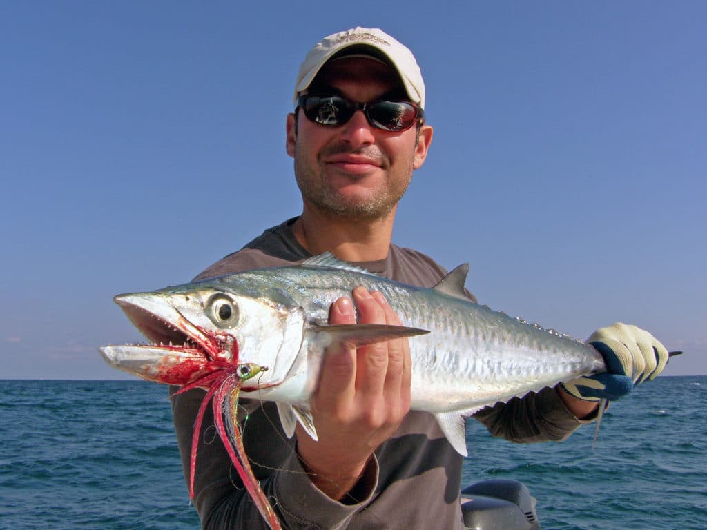 kingfish caught on fly tackle