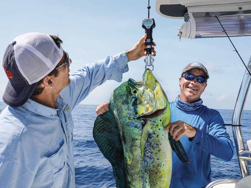 SWS0722-Keys-Dolphin-6 Weighing mahi on the boat