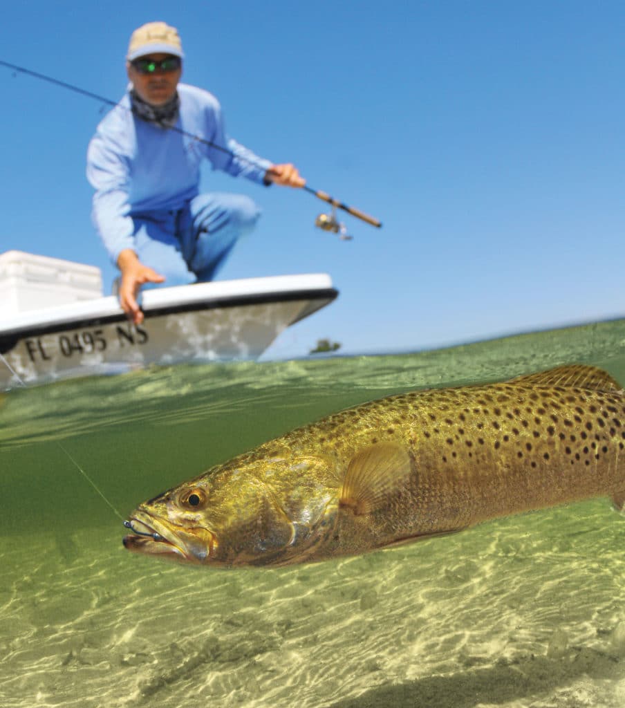 Speck being reeled in