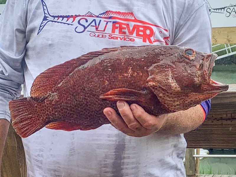 edward-tait-record-graysby-grouper North Carolina state record graysby grouper