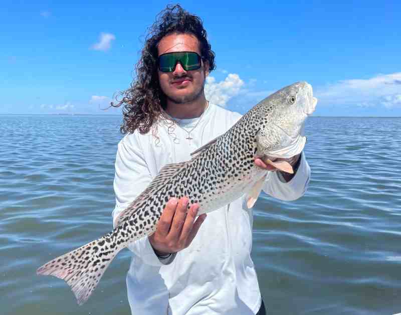 Leopard Red lead angler Ryan Hernandez with leopard redfish