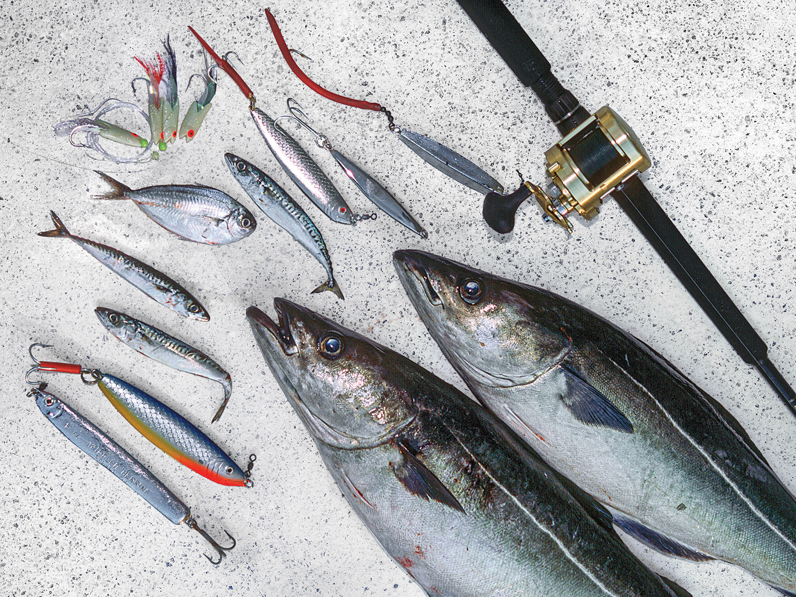 How to Fish Diamond Jigs and Teasers Salt Water Sportsman
