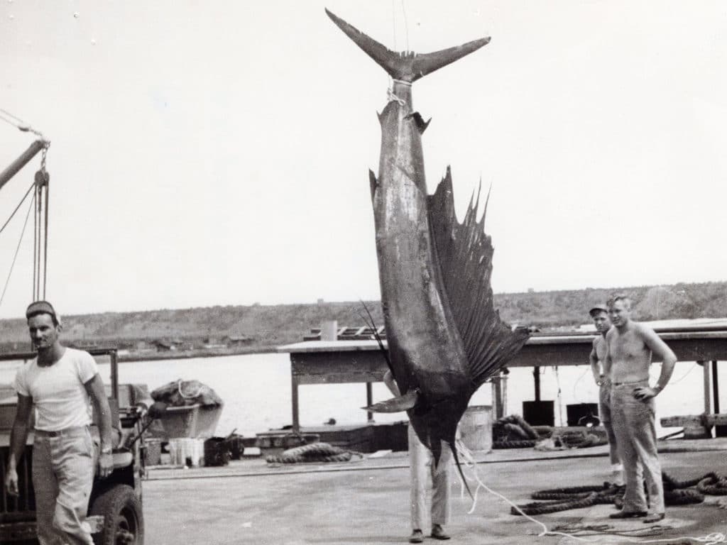 pacific sailfish world record