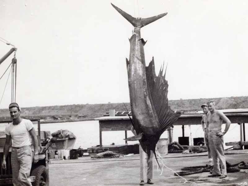 Pacific-Sailfish-Record-IGFA pacific sailfish world record