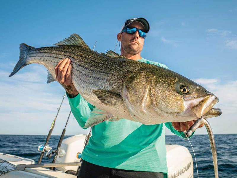 Striper on the boat