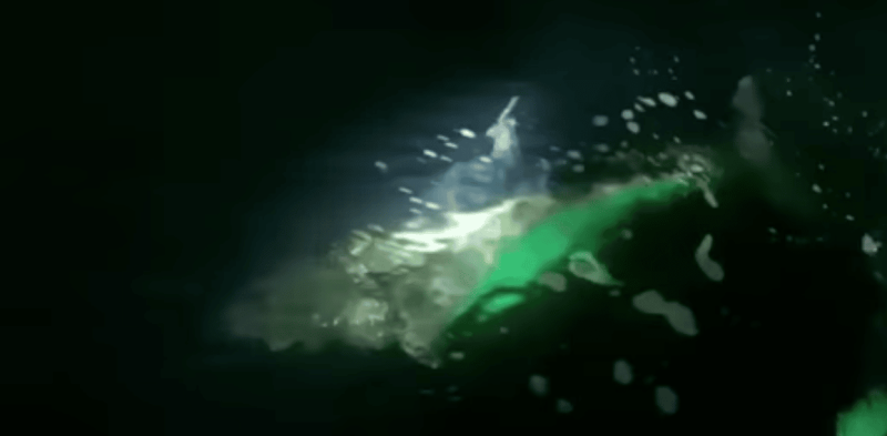 bluefin release