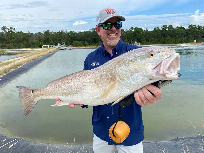 mature_hatchery_redfish Salt Water Sportsman's Scott Salyers caught this bull redfish from a pond at the Duke Energy Mariculture Center.