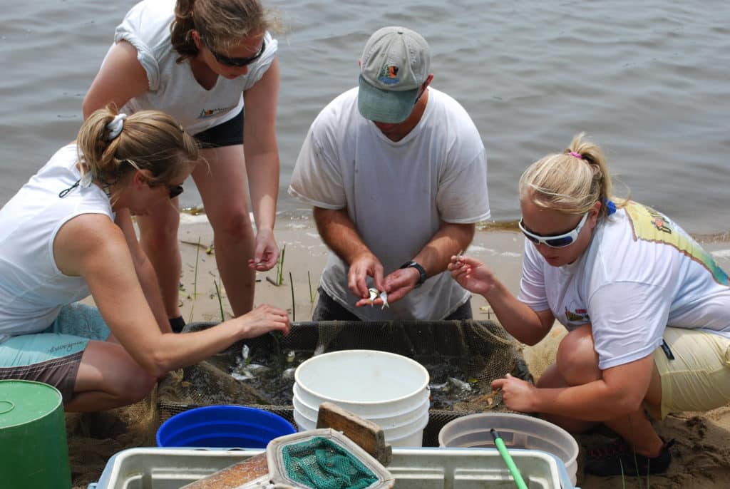 2022 Striped Bass YOY Survey Results Salt Water Sportsman