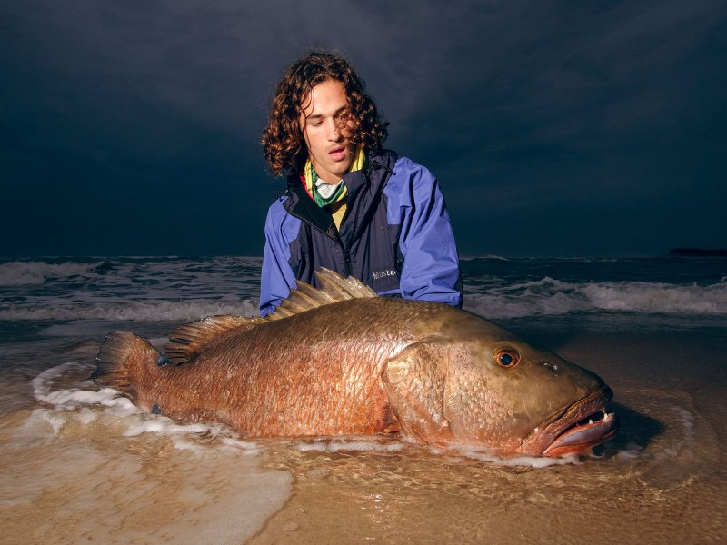 Mark-Murray-African-Snapper African Snapper