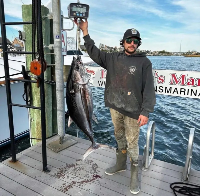 New Jersey Albacore Record cropped New Jersey record longfin albacore tuna