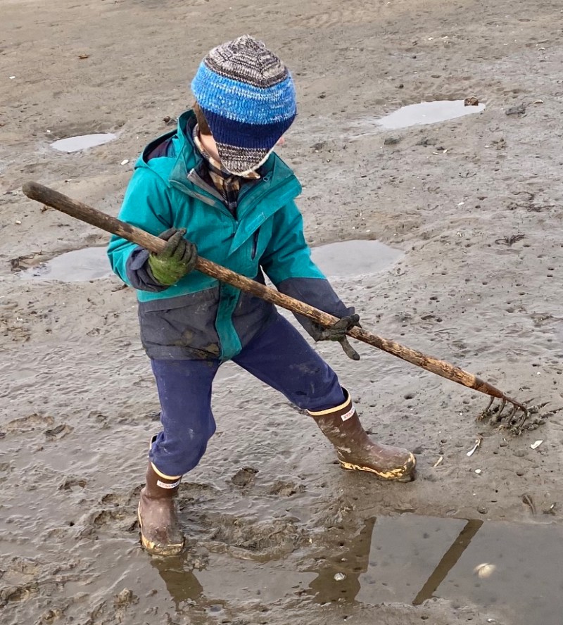 raking clams