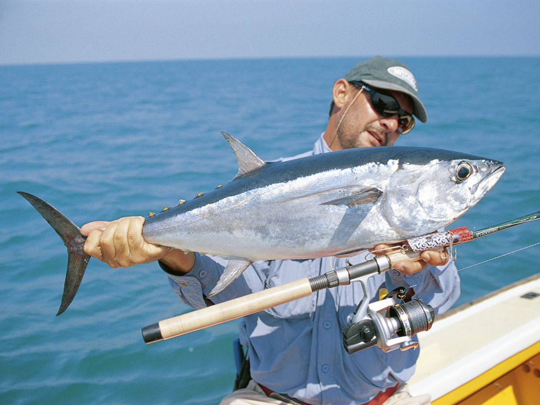 Longtail Tuna in Australia Salt Water Sportsman