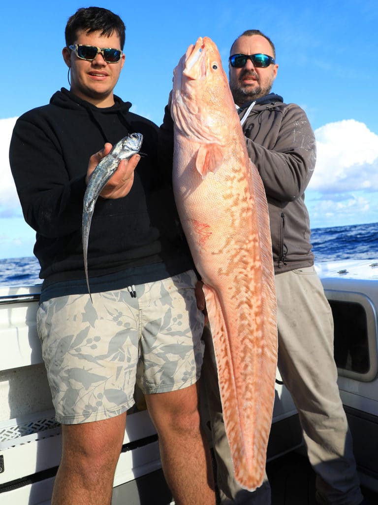 Australia pink ling