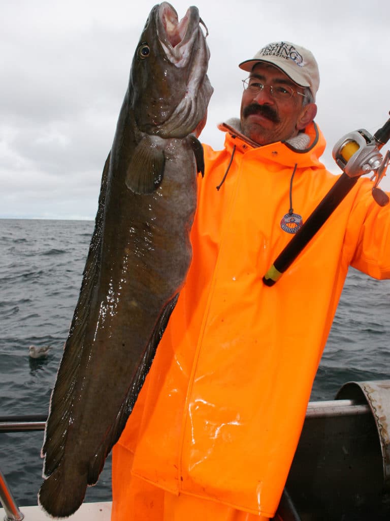 Norway tusk ling