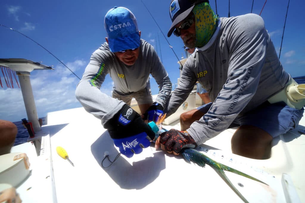 Tagging Dolphinfish