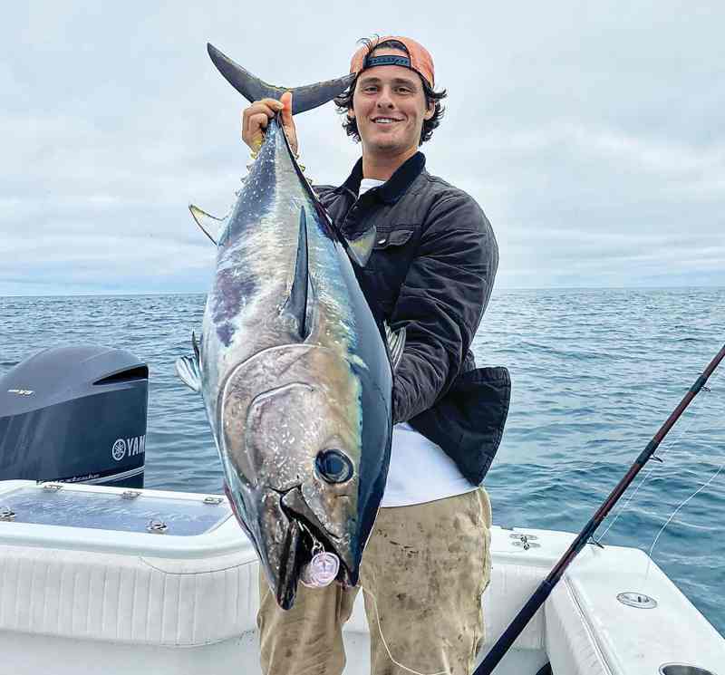 Large California bluefin tuna caught on clear popper