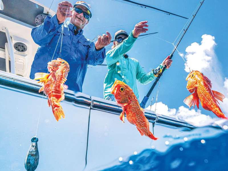 SWS323-Deep-Drop-1 Multihook rig for catching fish