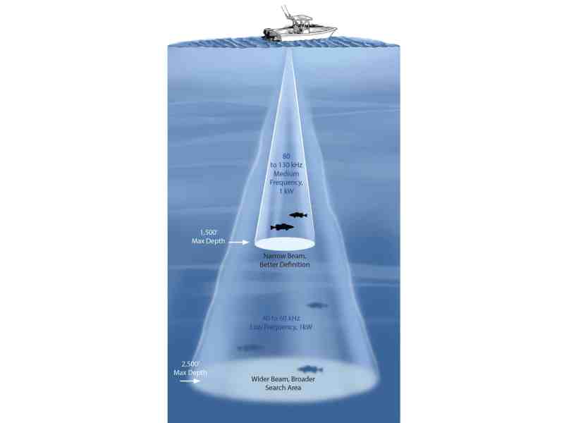Transducer frequency comparison