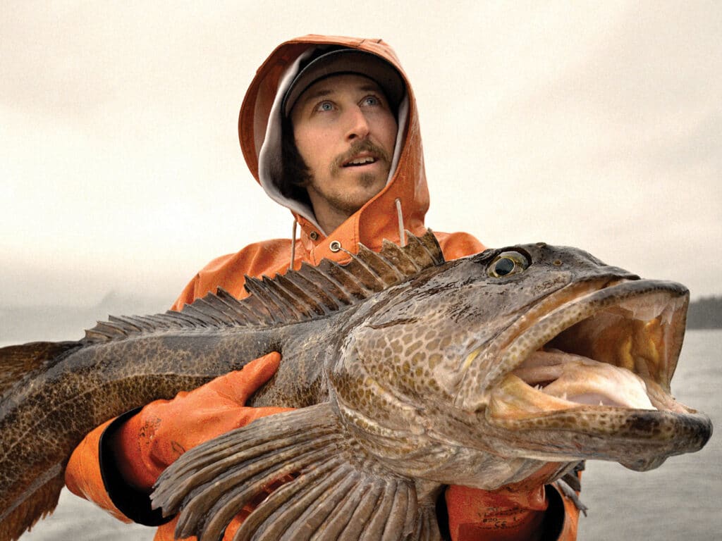 Large lingcod caught in shallow water