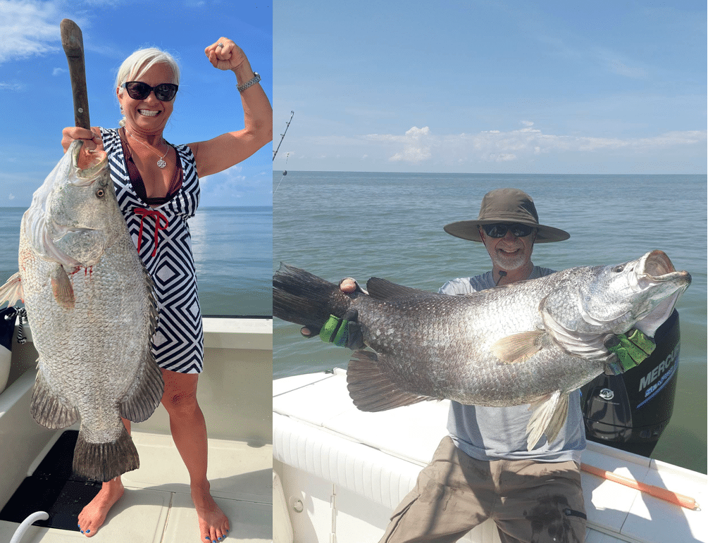 2 World Record Pacific Tripletails
