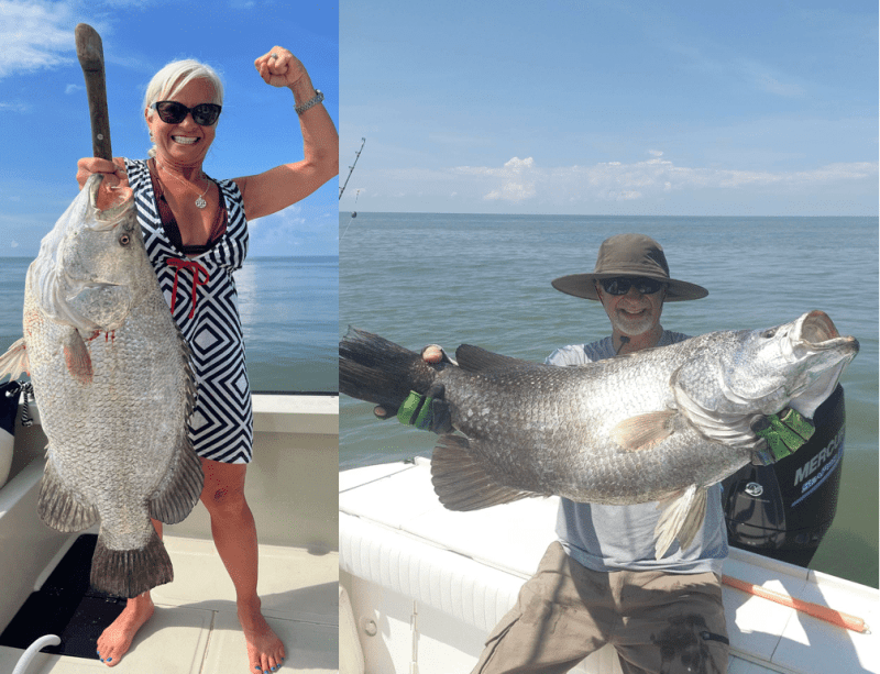 2 World Record Pacific Tripletails 2 World Record Pacific Tripletails
