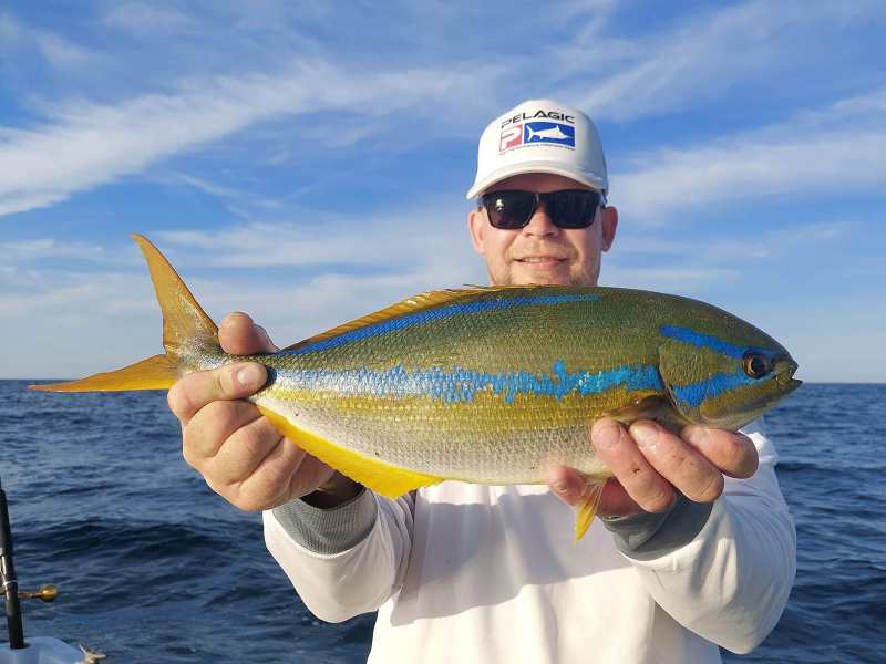 panama-chub A chub caught in Panama