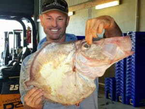 John dory fish