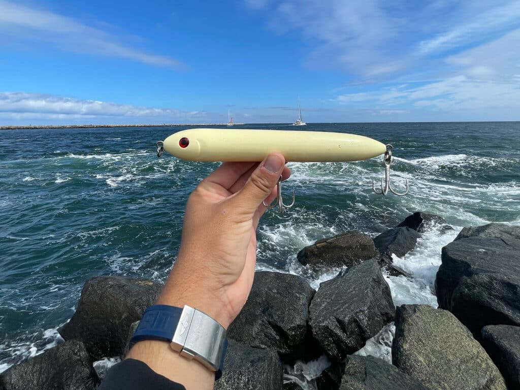 Five MustHaves for Fishing the Cape Cod Canal Salt Water Sportsman