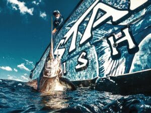 Billfish next to a vinyl-wrapped boat