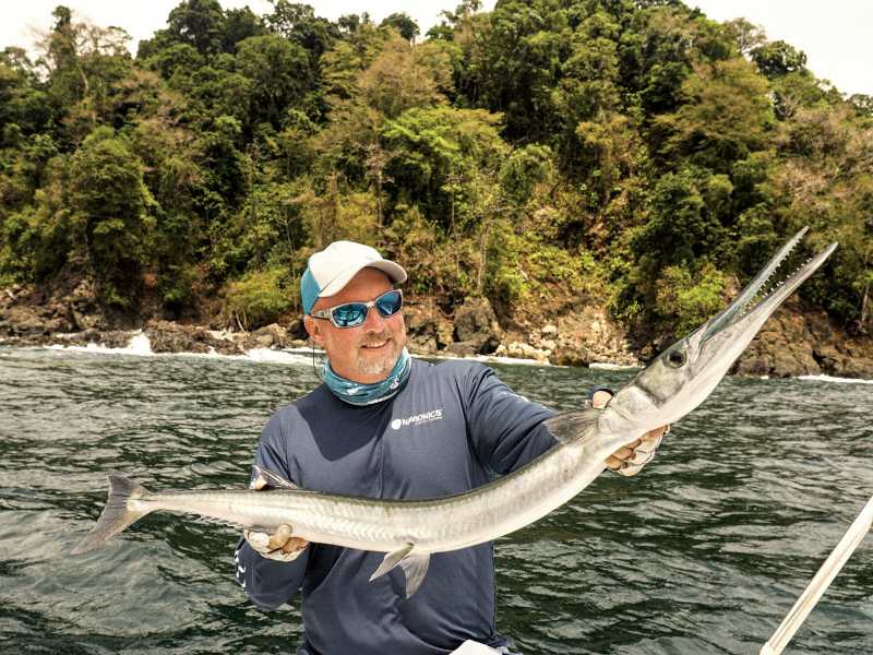 SWS1023-Edible-Fish-houndfish-Doug-Olander Pacific houndfish caught off Colombia